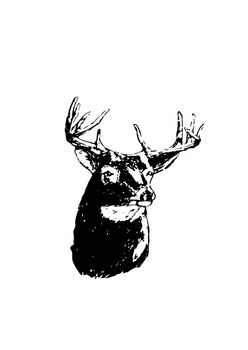a6 stag logo.jpg