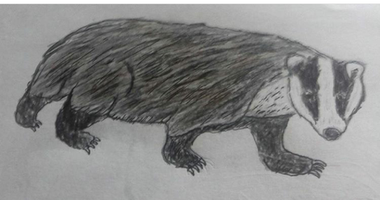 Drawing Animals 2.png