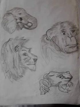 Drawing Animals.jpg