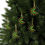 Thumbnail: Acrylic Ornaments