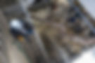 JWB_CWWTP-2571.jpg