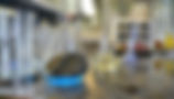 mineral-soil-test.jpg