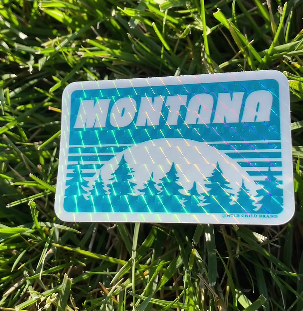 Thumbnail: Montana Holographic Sticker