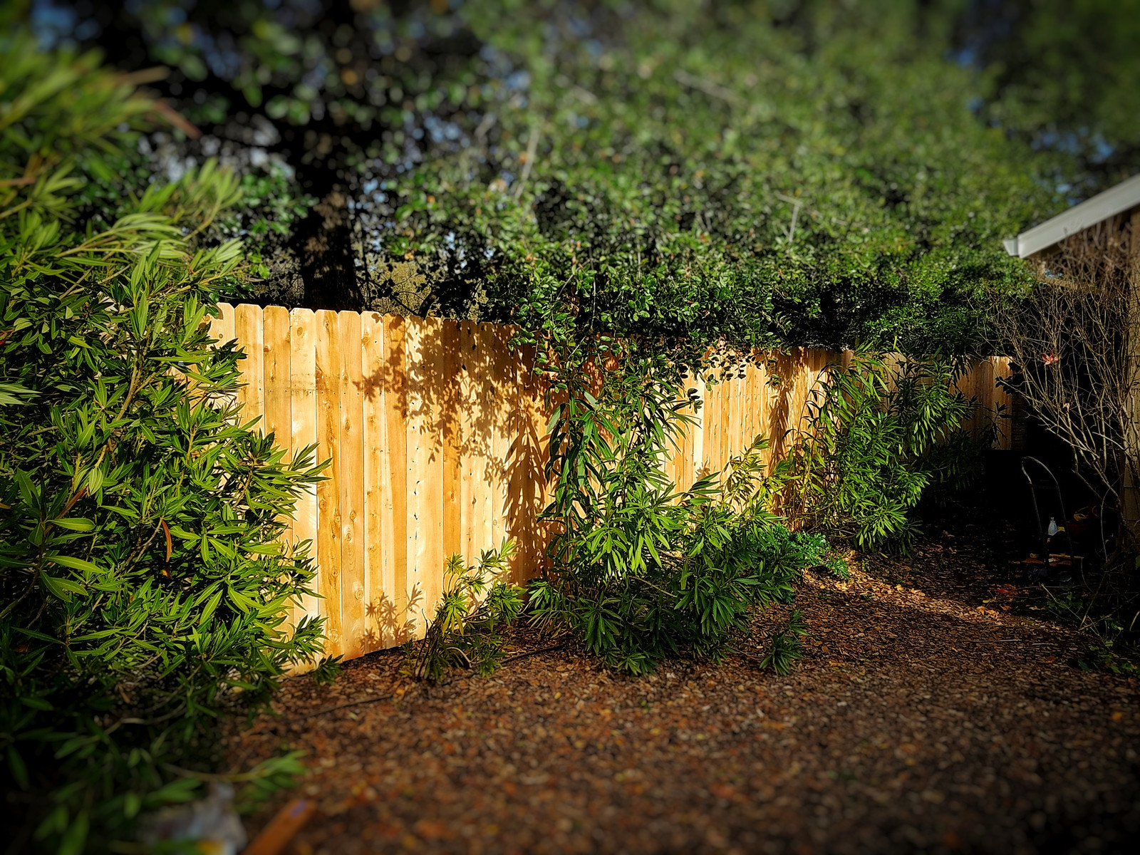 Gottaguy Handyman Services Fence Repair In Santa Rosa Ca