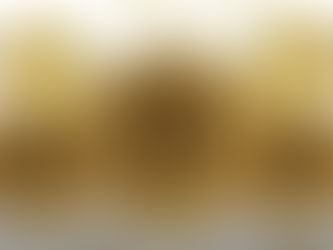 Crypto's impact on misleading the youth