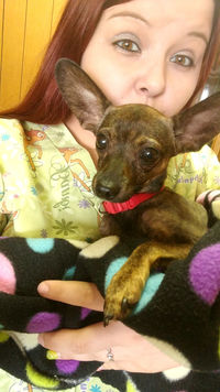 A woman holds a very tiny dog.