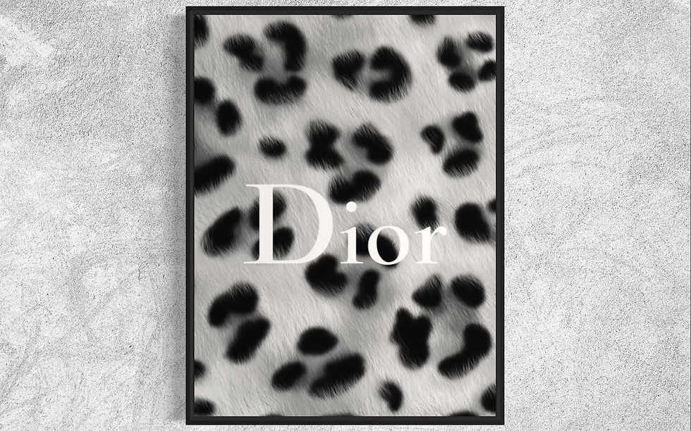 DIOR "LÉOPARD BLACK AND WHITE"