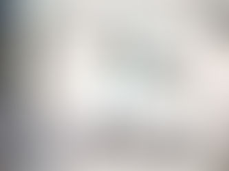 International Sales and Exports - Safe Landings? Secure the Sale