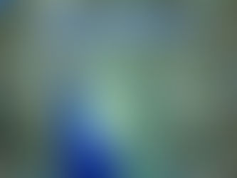 Are You Business Risk Ready ? How to Transform Your Approach