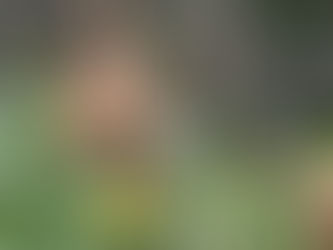 How To Secure Your Project