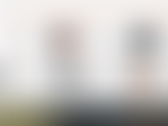 Stretching the Limits - Trade and Political Risks Insurance