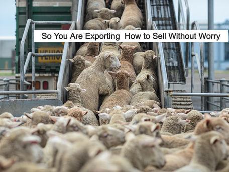 SME Exporting - How to Sell & Be Paid Without Worry!