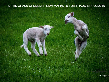 How To Win In Global Markets For Trade & Projects - The Grass is Greener !
