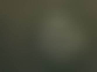 Working Overseas How Can I Insure Political Risks for My Business?