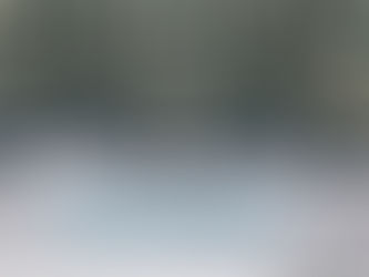 What Are The Political Risks in an International Market?