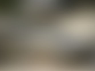 Ultimate Guide to Protecting Your Foreign Assets