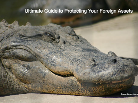 Ultimate Guide to Protecting Your Foreign Assets