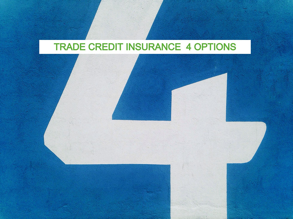 What is Trade Credit Insurance - Which Four Options?