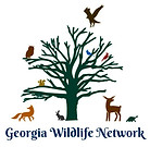Logo and link to Georgia Wildlife Network website