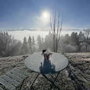 Öffnungszeiten über die Festtage: