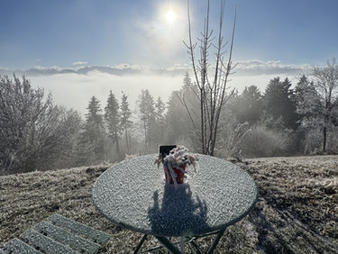 Öffnungszeiten über die Festtage: