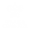 9.png