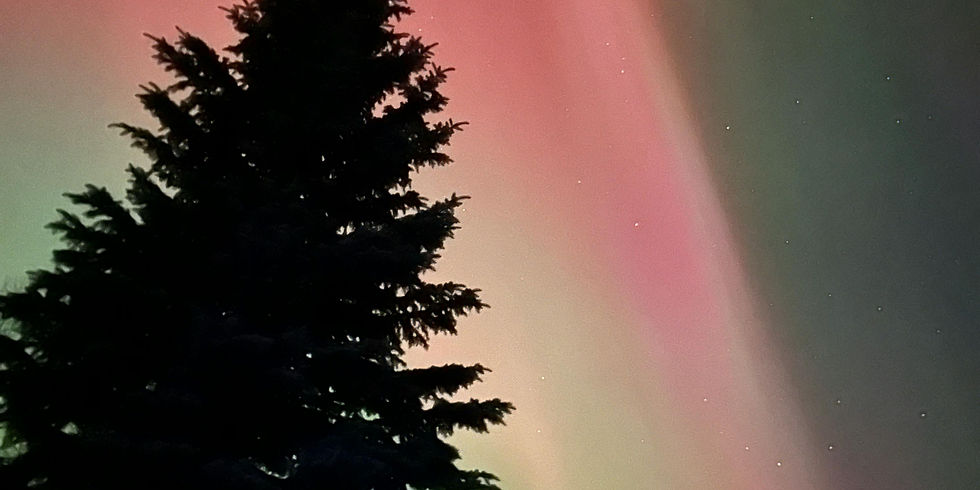 RUTA DE LAS AURORAS BOREALES EN ALASKA