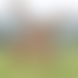 KENIA Y TANZANIA 2025