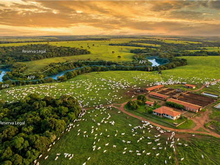 O RG do Rebanho: Exportando Carne Bovina Brasileira para a UE com o Selo EUDR