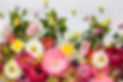 Flowers frame on white wooden background