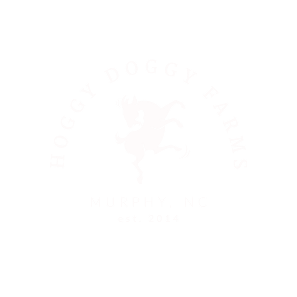 HDLogoWhiteTransparent.png