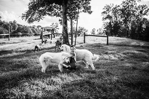 HoggyDoggyFarms (4 of 30).jpg