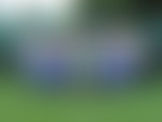Damen spielen Liga konzentriert zu Ende - Übergabe Meisterpokal