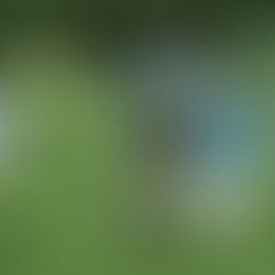 Damen bestätigen gute Leistungen