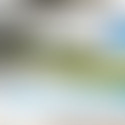 Alle Termine zur 100-Jahr Feier