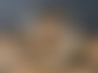 Top Myths About Home Inspections Debunked