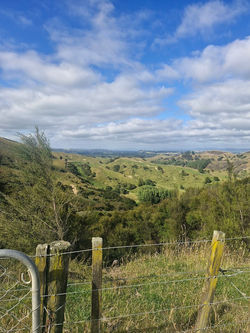 The Tararua District