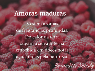 Amoras maduras