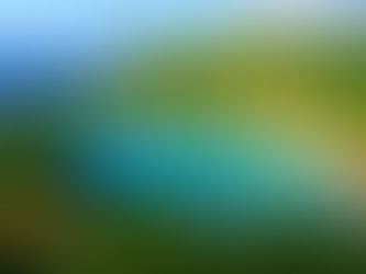 Planning your dream Caribbean getaway? Discover the complete Tobago travel cost guide including flights, hotels, food, transport, visa fees, and total budget for a perfect island vacation. Save this guide to plan your Tobago trip smarter and enjoy a stress-free Caribbean holiday with Ishwa Holidays