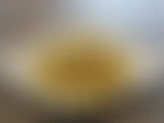 Traditional Italian pasta Carbonara and gelato in Rome restaurant – must-try food for first-time visitors exploring Italy with Ishwa Holidays.