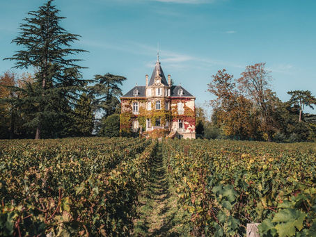 Scenic vineyard landscape in Bordeaux with lush greenery and wine estates, showcasing luxury travel and wine tourism in France