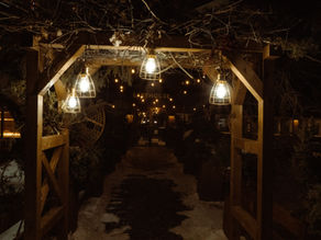 The Perfect Winter Itinerary for Riding Mountain National Park