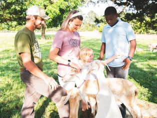 The Beauty of Creation and How it Works Together