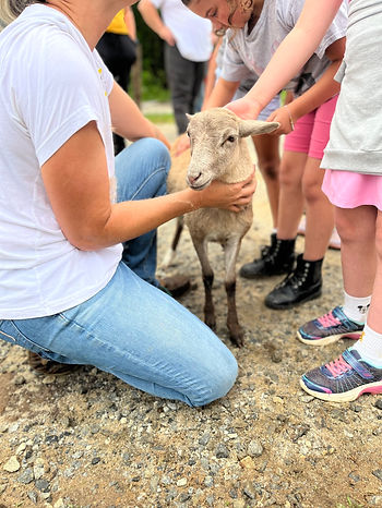 Bella being pet by children on the field trip.