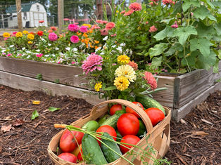 A basket of goodies from the garden sits in front of a flower bed