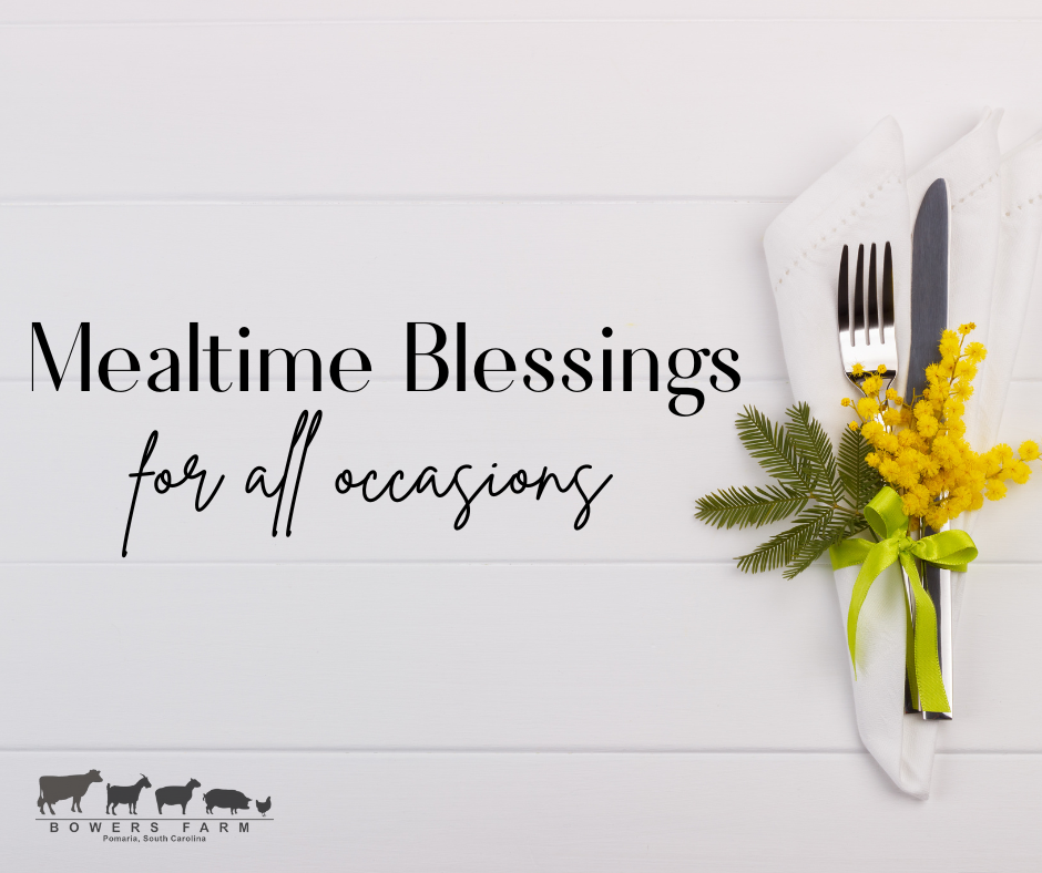 A Mealtime Blessing