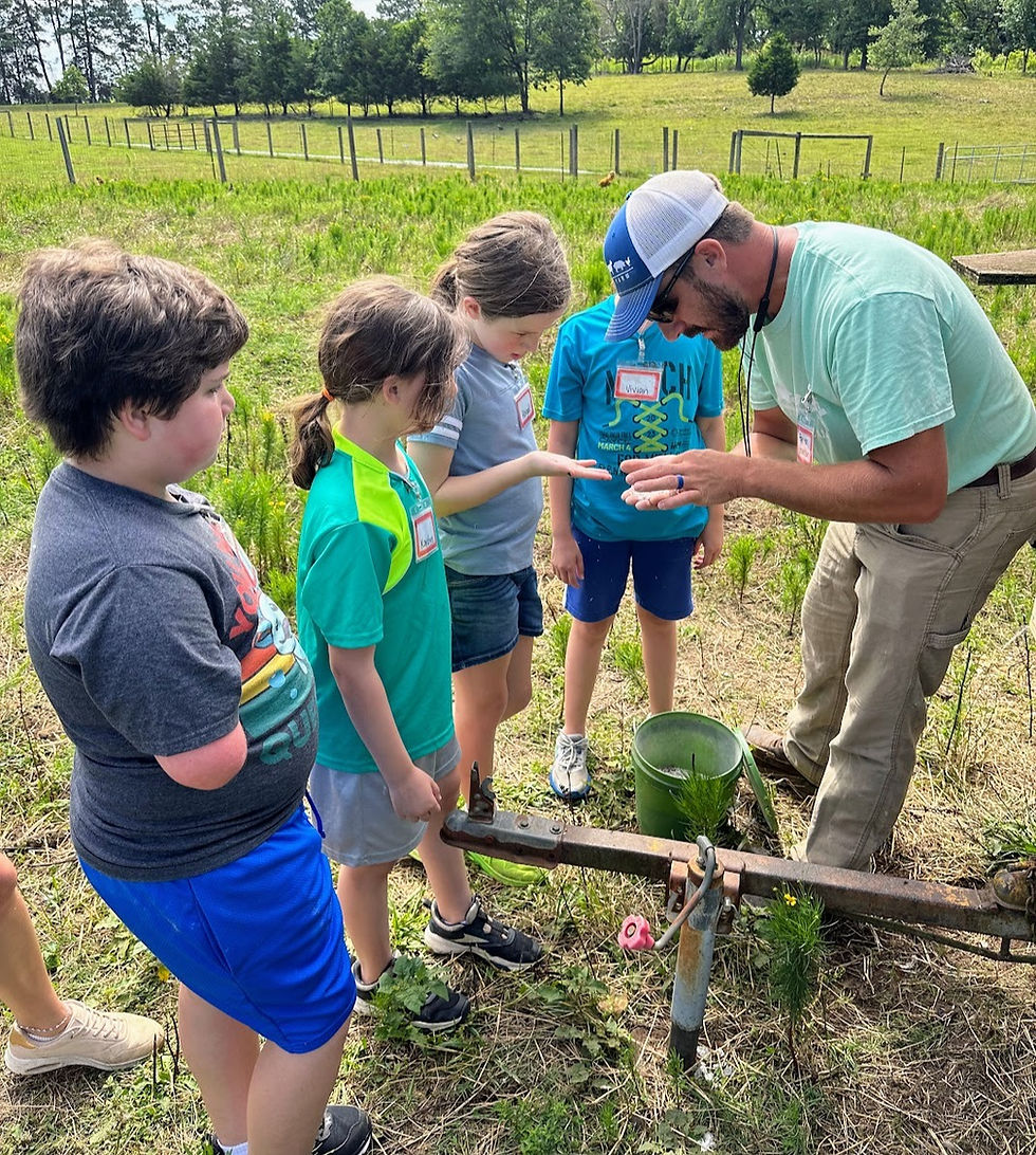 Farm Camp is Five! And is set to be the BEST. YEAR. YET.