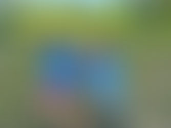 4 kiddos holding up 5 fingers