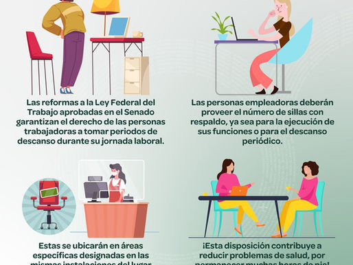 La Ley Silla Diciembre 2025