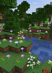 Birch And Oak Forest Minecraft